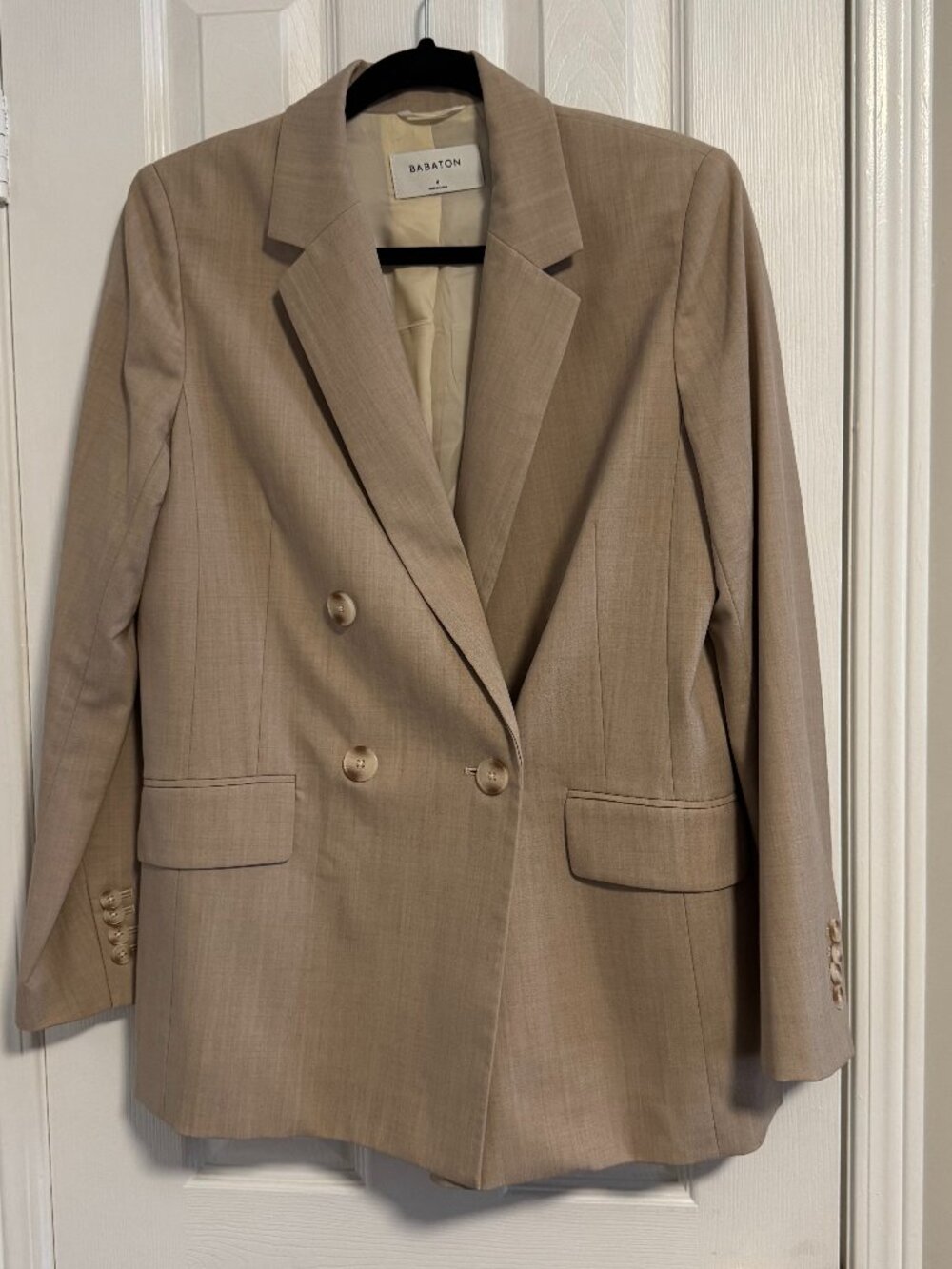 Aritzia Babaton Leonard Blazer